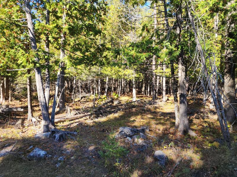 Listing Photo for TBD N 3 Mile Rd