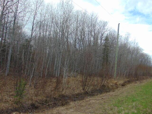 Listing Photo for 000 County Road 462