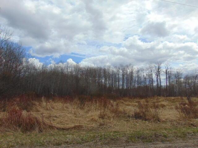 Listing Photo for 000 County Road 462
