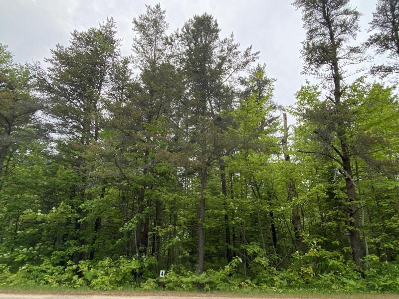 Listing Photo for 14777 N Whitefish Point Rd