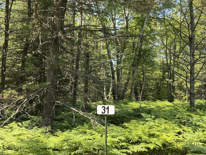 Listing Photo for LOT 31 N Whitefish Point Rd