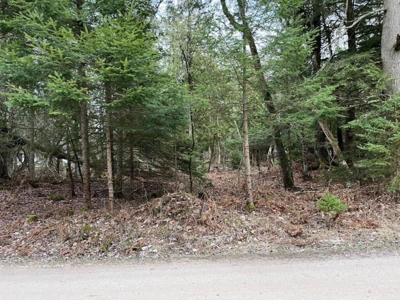 Listing Photo for LOT 26 N Carnegie Woods