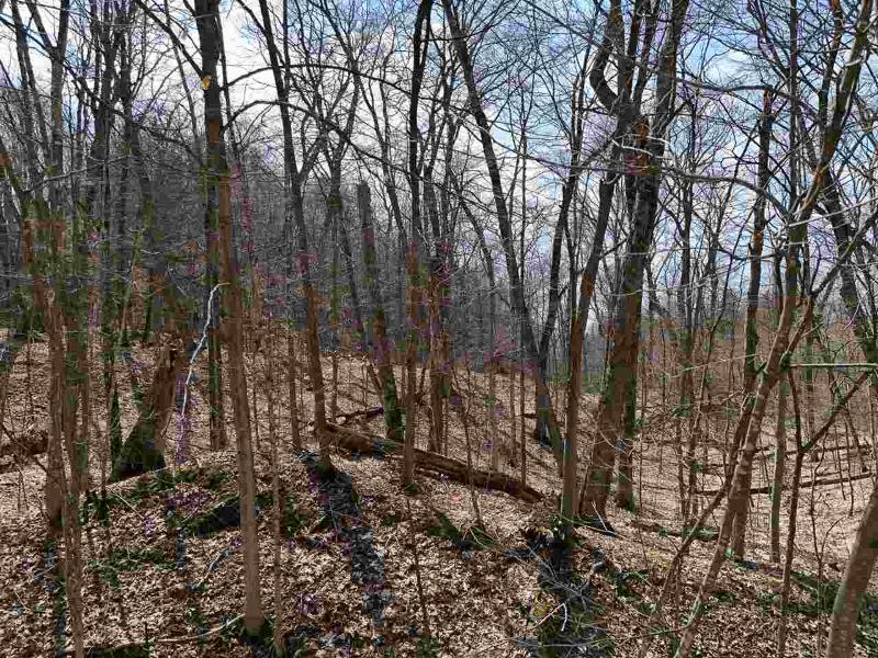 Listing Photo for TBD White Birch Road, Lot 247