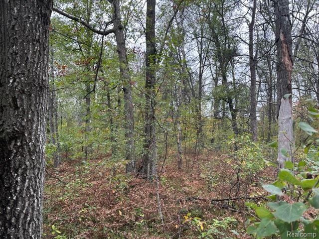 Listing Photo for 10 ACRES W 6 Mile Rd