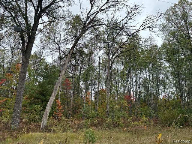 Listing Photo for 10 ACRES W 6 Mile Rd