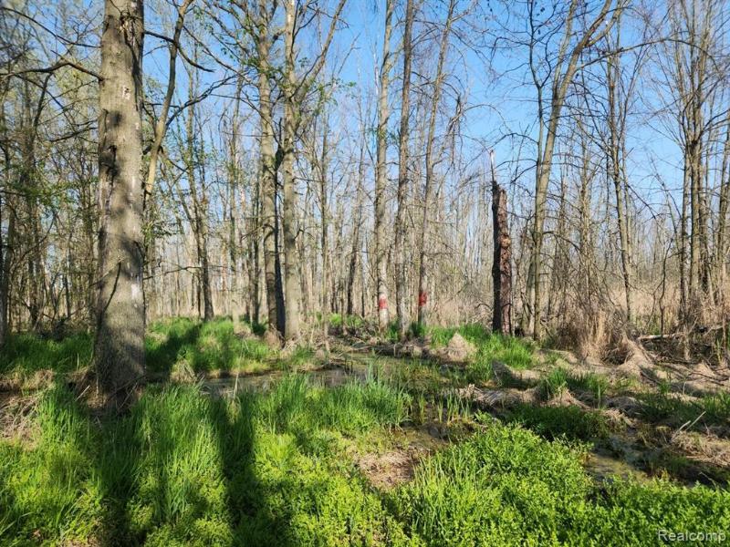 Listing Photo for PARCEL #3 Perch Road