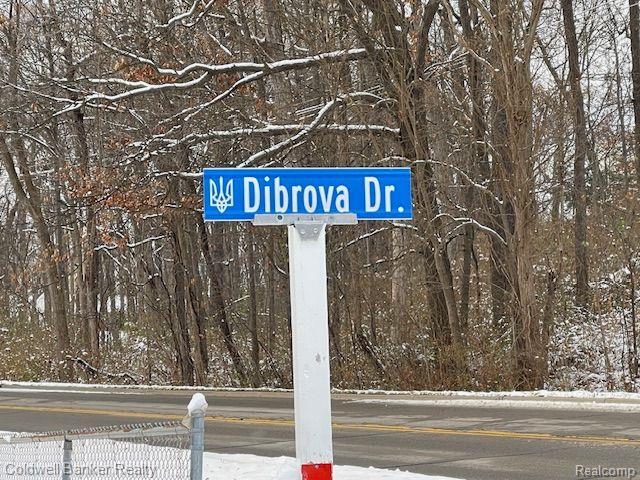 Listing Photo for 0000 Dibrova Drive