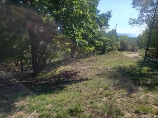 Listing Photo for PARCEL A Lake Bluff Drive