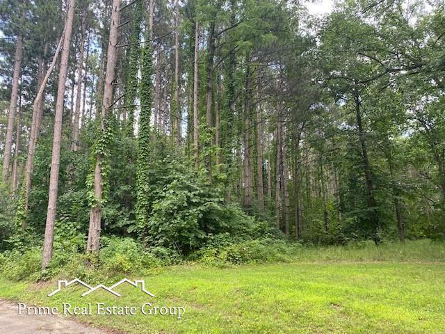 Listing Photo for 9055 Pineview River Drive Lot #12