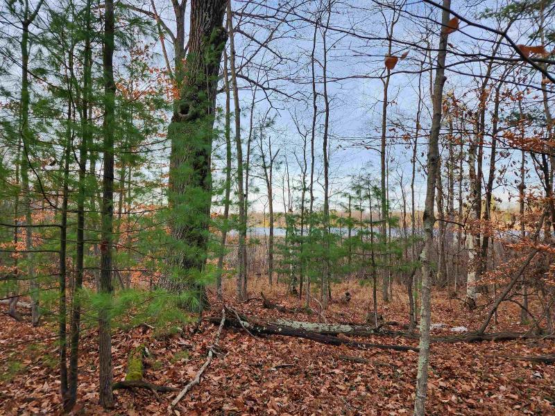 Listing Photo for 5+/- ACRES Browns