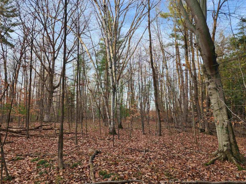 Listing Photo for 5+/- ACRES Browns