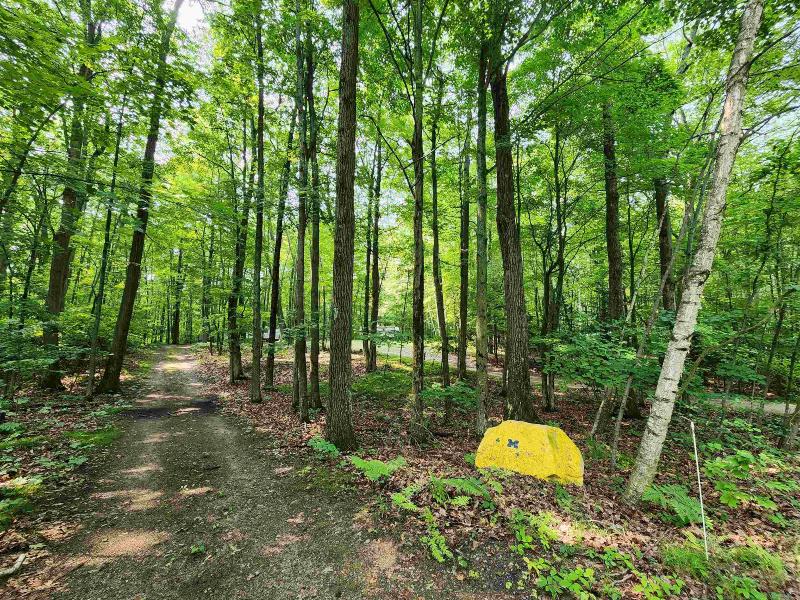 Listing Photo for LOTS 1317-1318 Spruce Hill