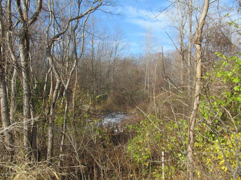 Listing Photo for Marquette Woods Road