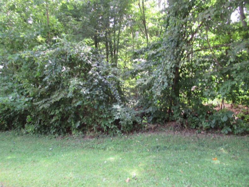 Listing Photo for TRACT #2 Deep Woods Drive
