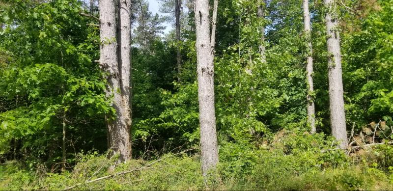 Listing Photo for LOT A-3 Meadow View Lane