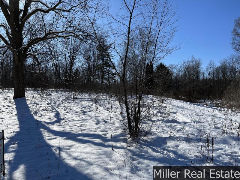 Listing Photo for 364 S M-37 Highway