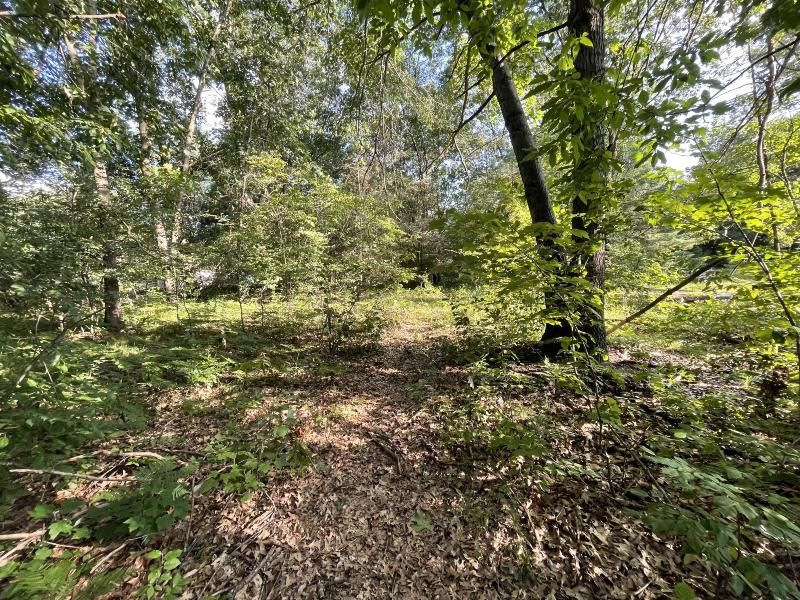 Listing Photo for 0 Winona Court LOT 293