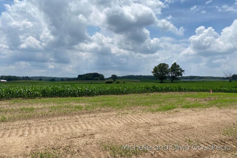 Listing Photo for VL Gibson Farms Drive PARCEL 7