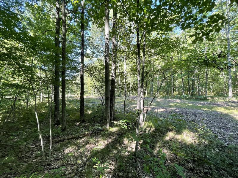 Listing Photo for 5 S Wildwood Trail