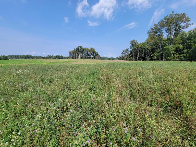 Listing Photo for LOT 5 146th Avenue