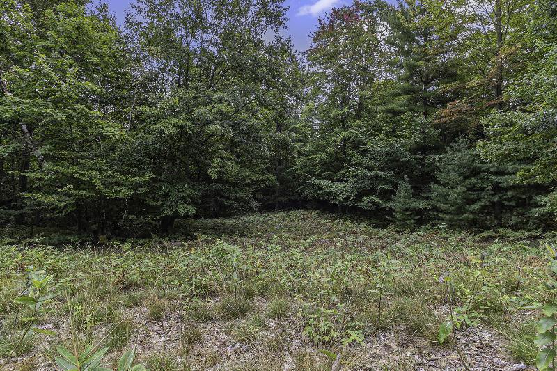 Listing Photo for LOT 8 Pine Street