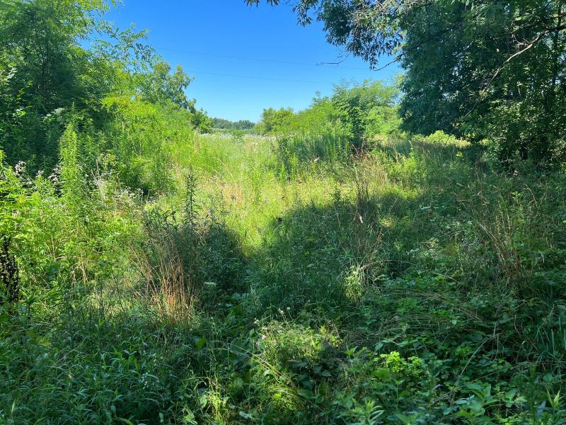 Listing Photo for PARCEL A W County Line Road