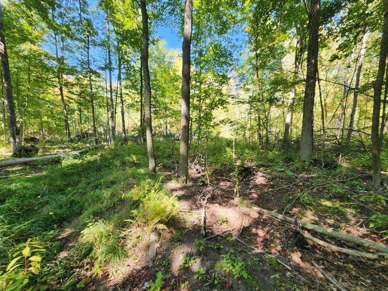 Listing Photo for LOT F N Behler Road