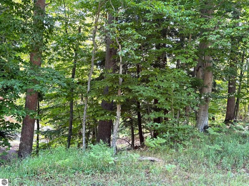 Listing Photo for 10 Pine Trace