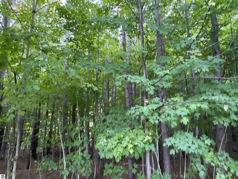 Listing Photo for 8660 North Long Lake Road PART OF 8660 NORTH LONG LAKE RD- APROX 72 ACRES