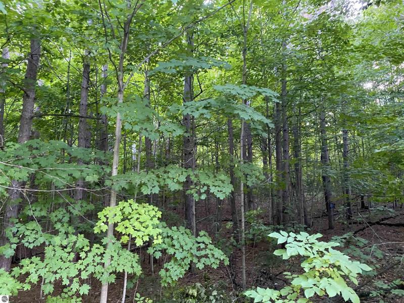 Listing Photo for 8660 North Long Lake Road PART OF 8660 NORTH LONG LAKE RD- APROX 72 ACRES