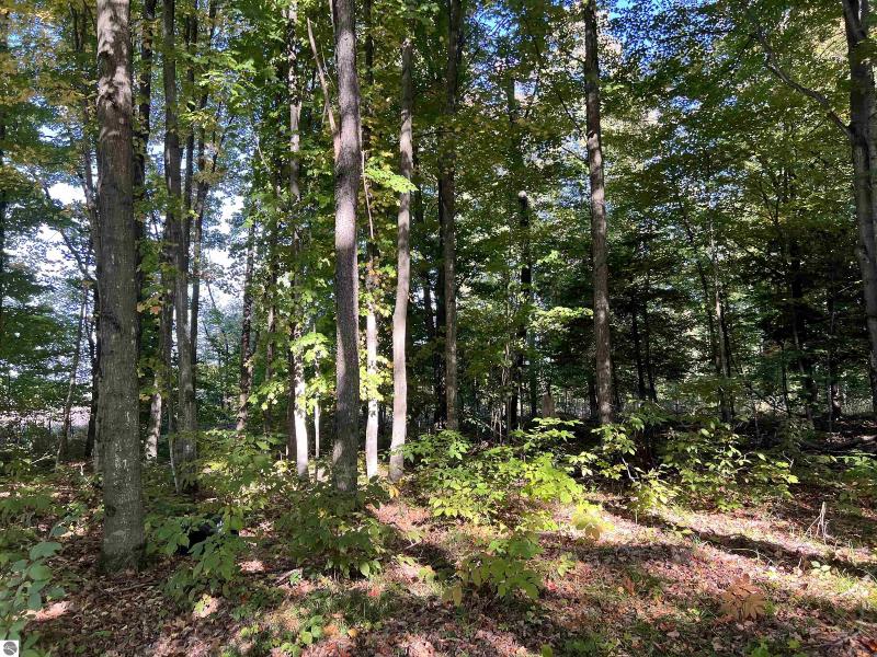 Listing Photo for LOT 39 Springview Drive