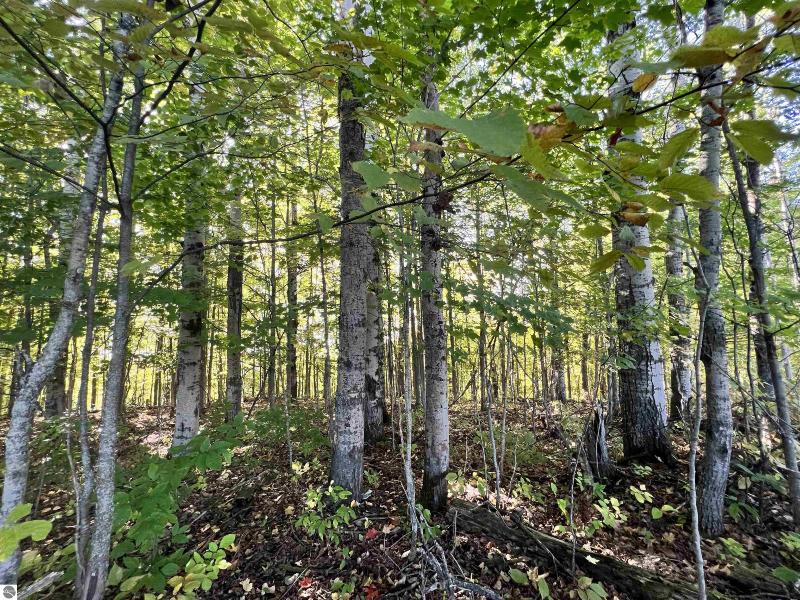 Listing Photo for LOT 39 Springview Drive