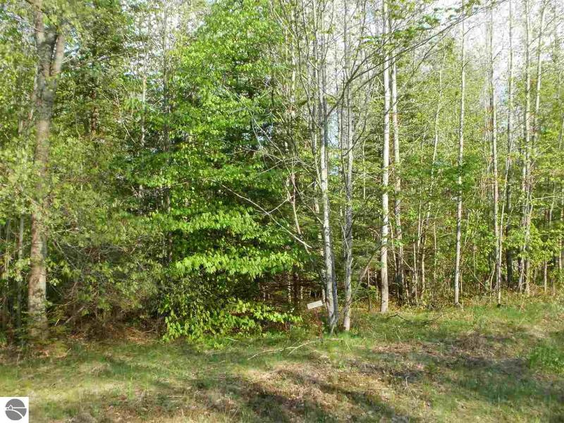 Listing Photo for LOT 40 Spring Valley Drive