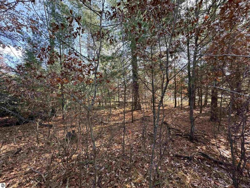 Listing Photo for 0 Turner Pine Drive