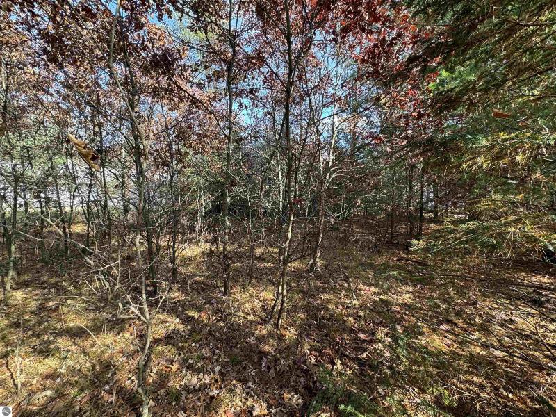 Listing Photo for 0 Turner Pine Drive