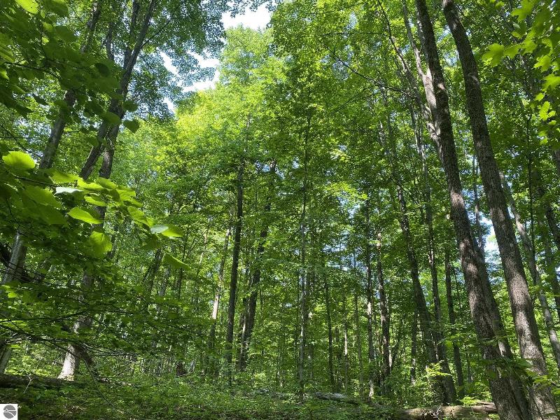 Listing Photo for LOT 71 Birch View Trail