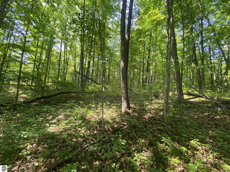 Listing Photo for LOT 72 Birch View Trail