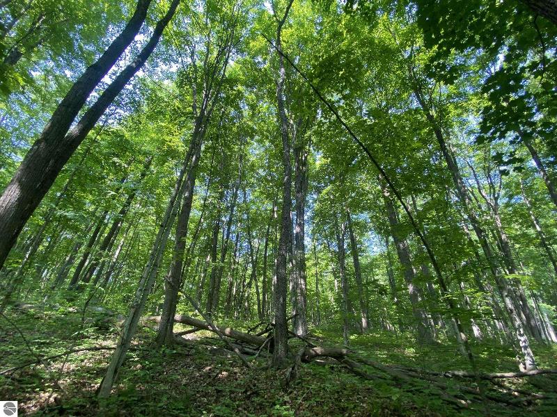 Listing Photo for LOT 72 Birch View Trail