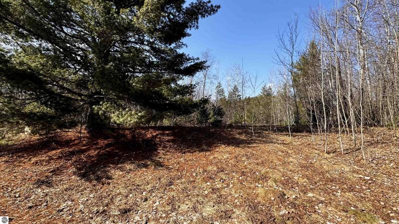 Listing Photo for LOT 30 White Pine Drive