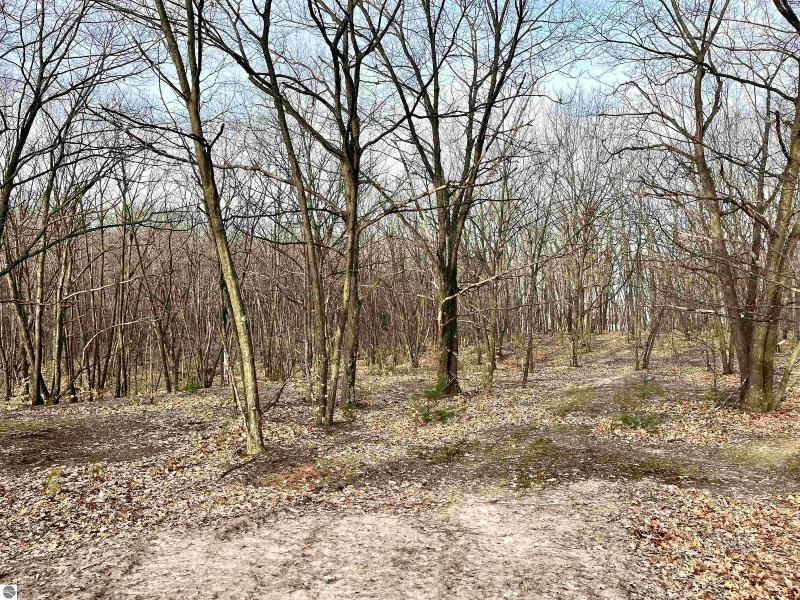 Listing Photo for PARCEL E Trumbull Road