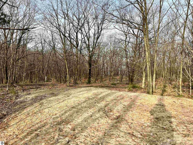 Listing Photo for PARCEL E Trumbull Road