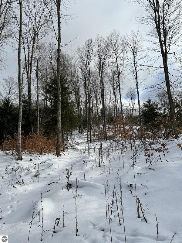 Listing Photo for S Lime Lake Road PARCEL A