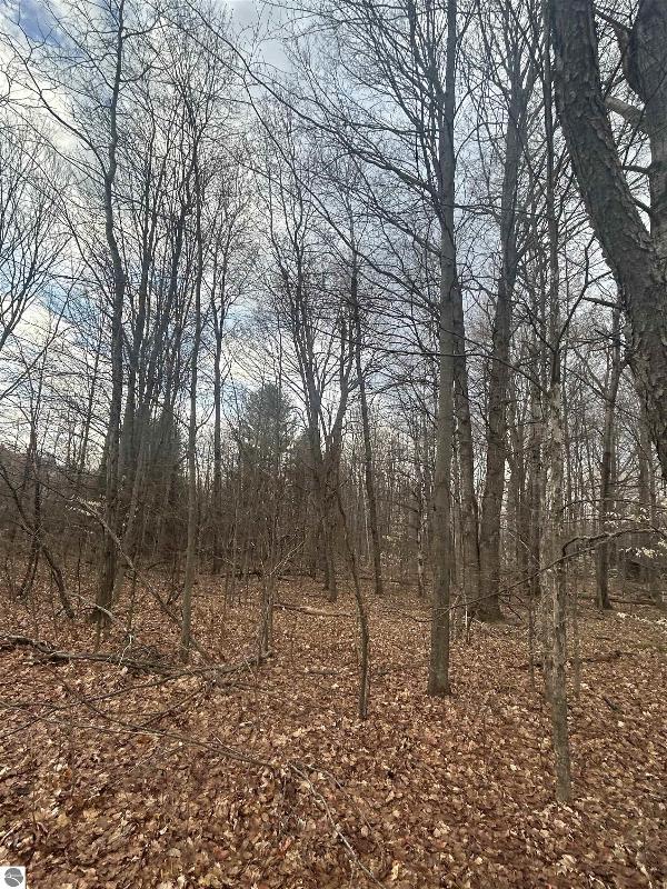 Listing Photo for LOT 21 Schuss Mountain Drive