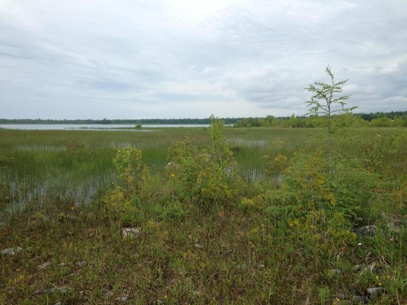 Listing Photo for 0 Epoufette Bay Road