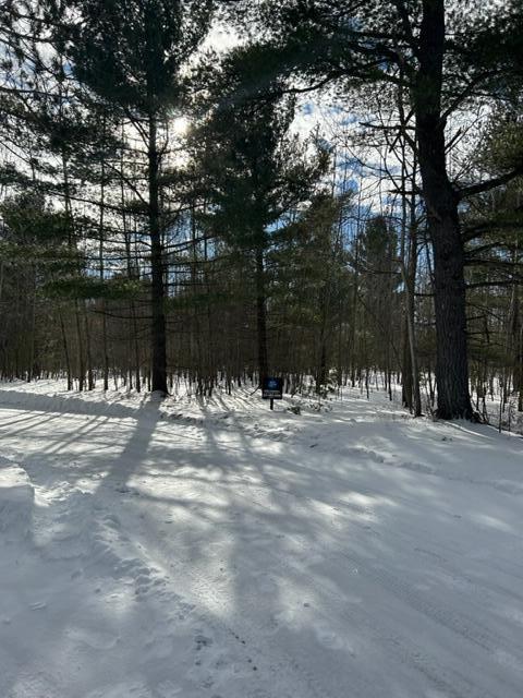 Listing Photo for 661 White Pine Drive LOT 20