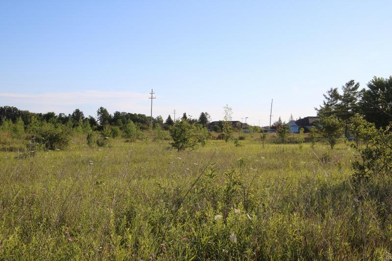 Listing Photo for 528 Stempky Street 1.8 ACRES