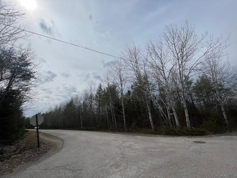 Listing Photo for Harwood Court LOTS 177,178,179