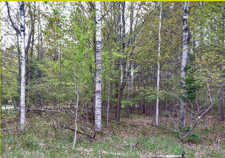Listing Photo for LOT # 57 Bent Tree