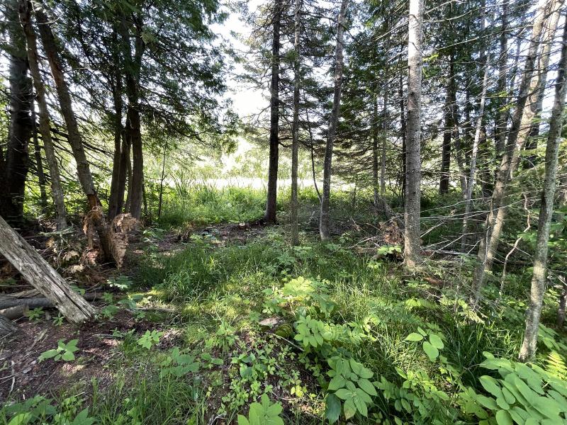 Listing Photo for 2801 E Gill Road 38+ ACRES