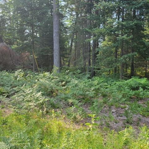 Listing Photo for Rosemarie Trail PARCEL A